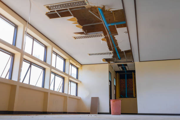 Best Sewage cleanup and water damage restoration  in Jasper, TN