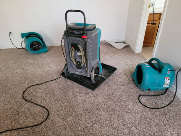 Best 24-hour water damage restoration  in Jasper, TN