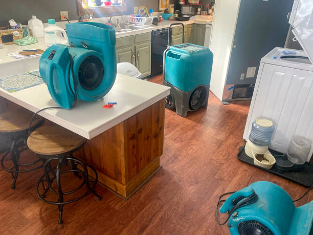 Best Water damage cleanup near me  in Jasper, TN