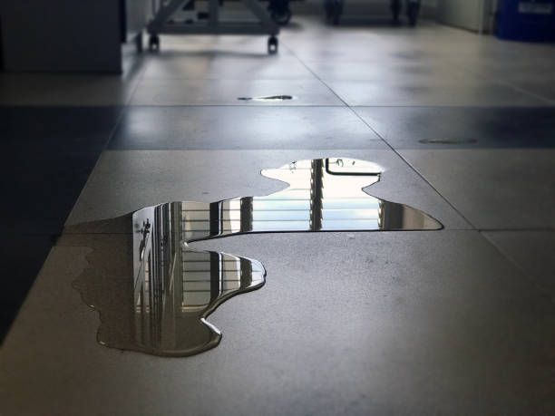 Best Professional water damage repair  in Jasper, TN
