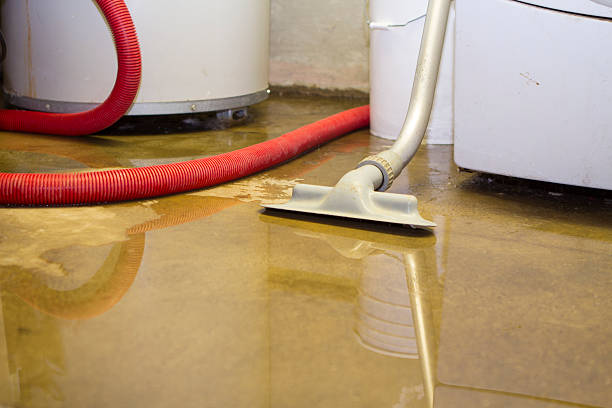 Best Mold removal after water damage  in Jasper, TN