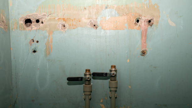 Best Emergency water damage restoration  in Jasper, TN