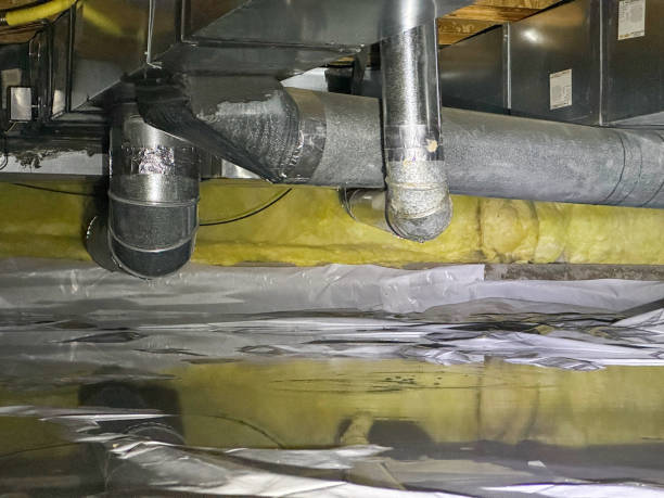 Best Flooded house restoration  in Jasper, TN