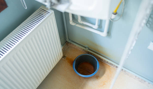 Best Flood restoration services  in Jasper, TN