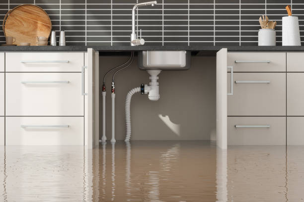  Jasper, TN Water damage restoration Pros